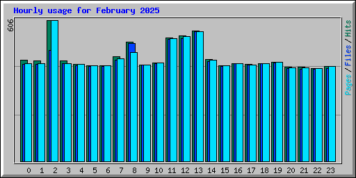 Hourly usage for February 2025