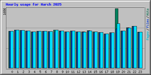 Hourly usage for March 2025