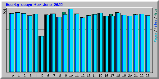 Hourly usage for June 2025