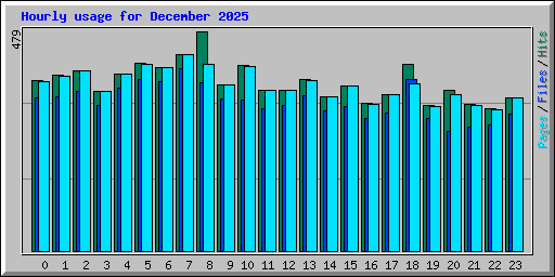 Hourly usage for December 2025