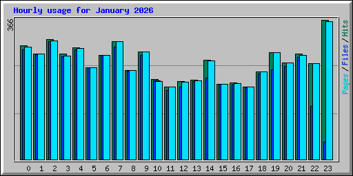 Hourly usage for January 2026